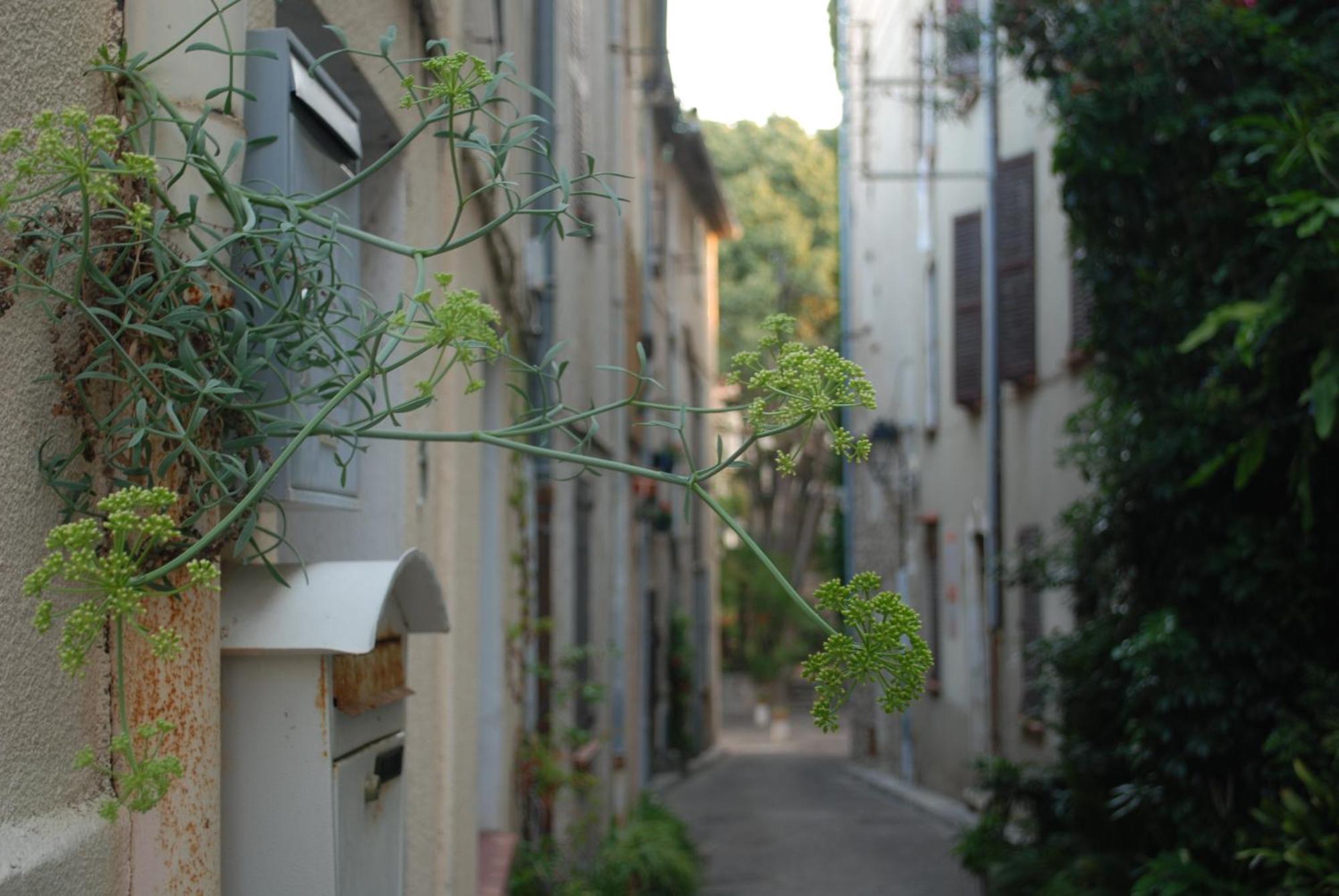 Sortie 44 - Newly Renovated 1 Bedroom, Center Of Old *